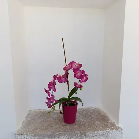 Luxury Stone Nonna With Amazing Sea View فيلة *